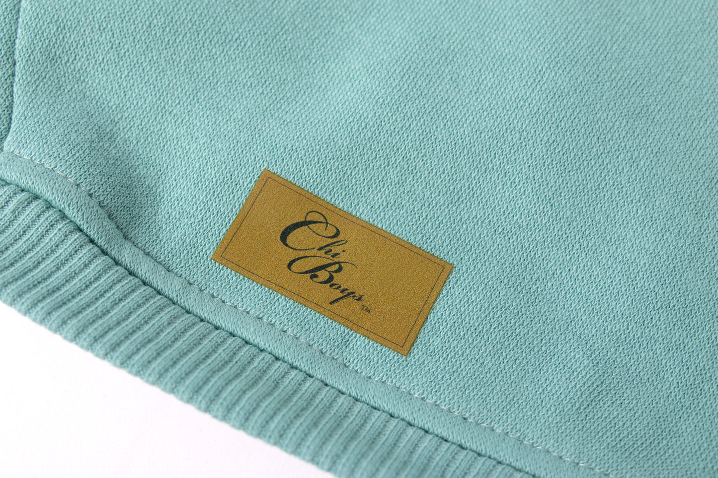 ChiDog Hoodie (Tiffany Blue)