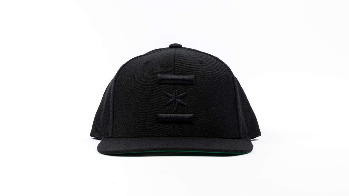 We Are One Star Snapback (black on black)